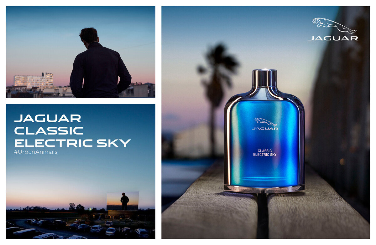 Источник фото - https://goo.su/GTlLy