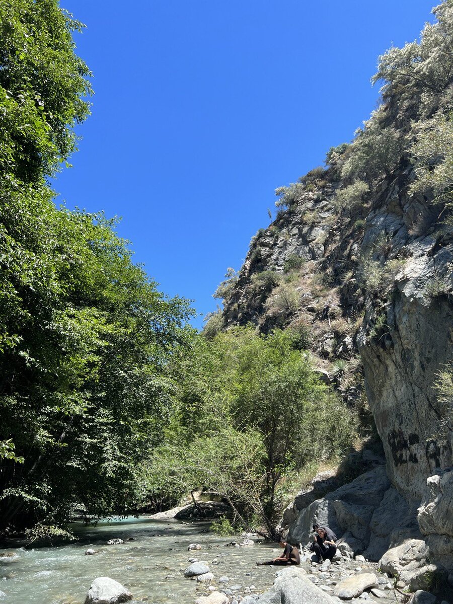 Природа в Америке. Личные фото