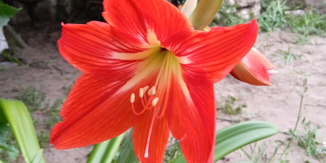 Порочная практика