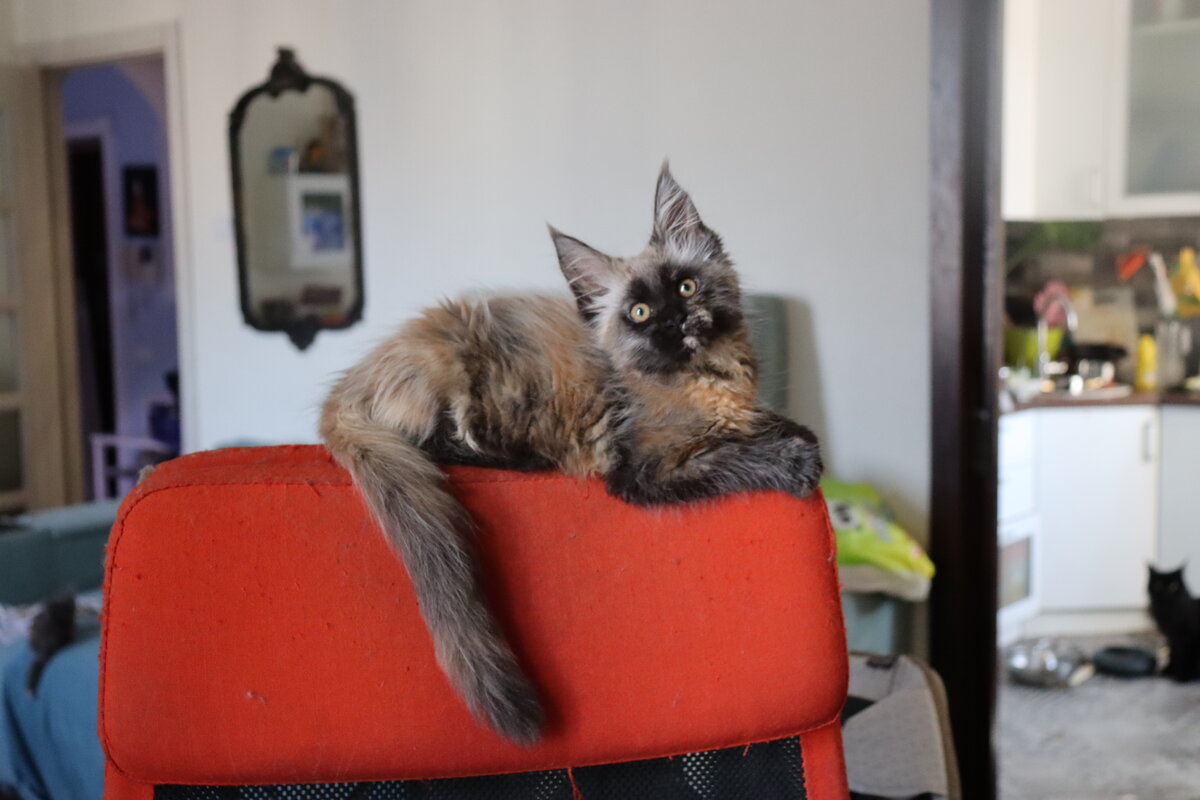 Фото из личного архива. 