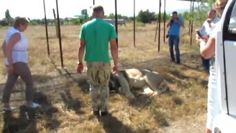 Олег Зубков принимает Галину Перелович с делегацией. Тайган (архив)