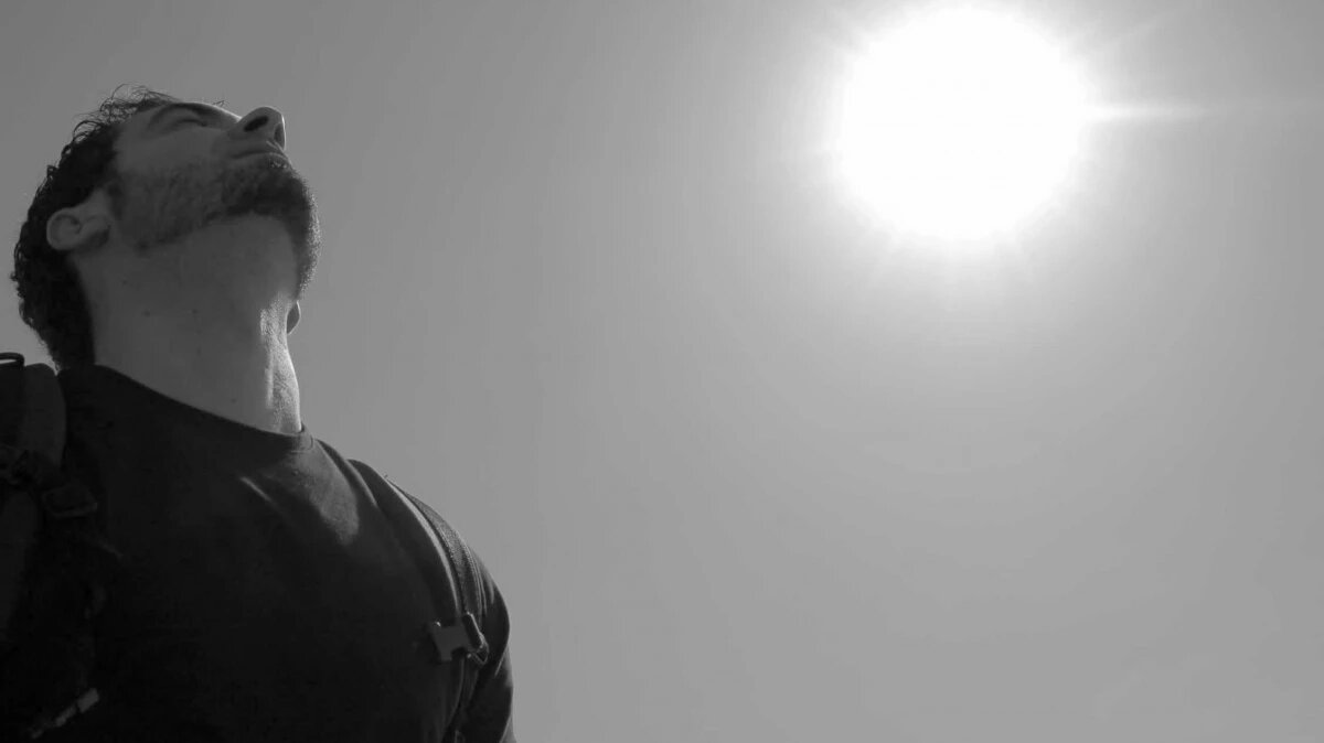 Фото: pxhere.com