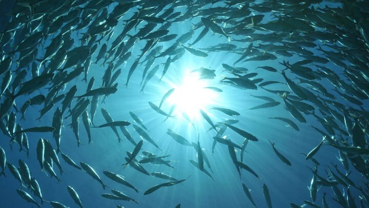 © DIETER MÖBUS / CHROMORANGE/GLOBALLOOKPRESS