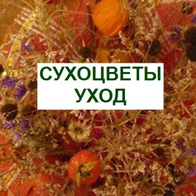 сухоцветы