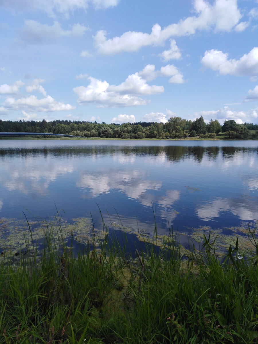 Летом здесь всегда живописные виды