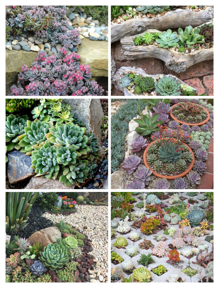 Коллаж фото из сети интернет 