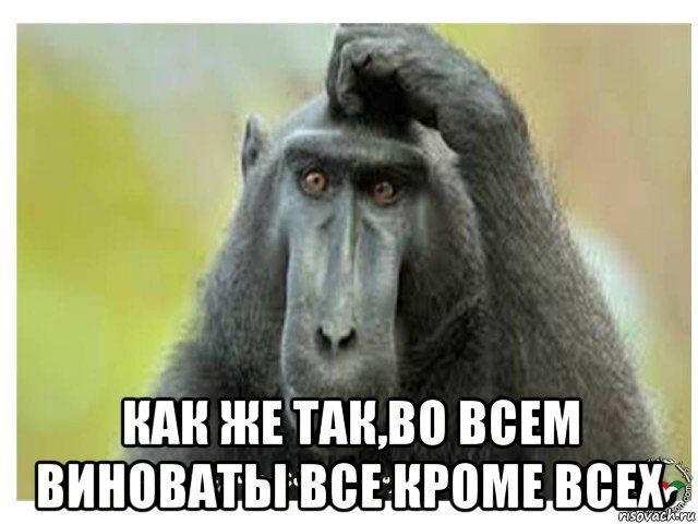 И пальцем тыкнуть не в кого...