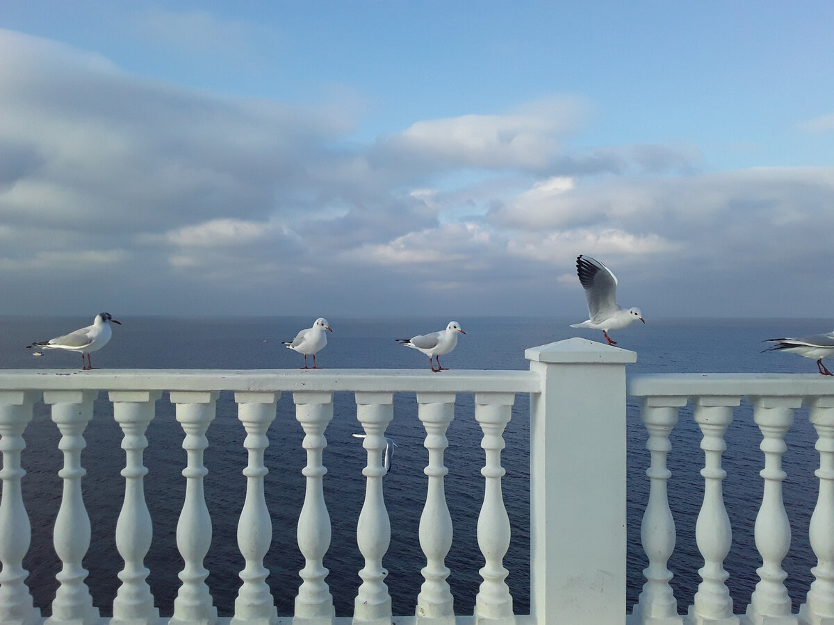 они ждут вас)