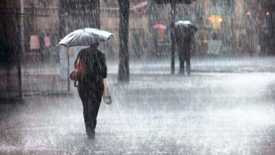    Вильфанд назвал регионы РФ, которые ждет дождливый август Анна Белая