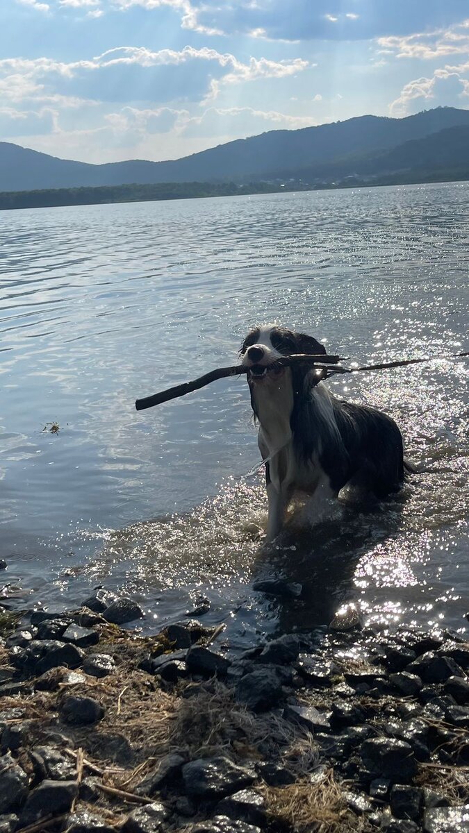 Из семейного архива1 из 3