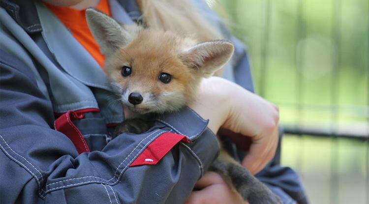 Фото: предоставлено белгородским зоопарком