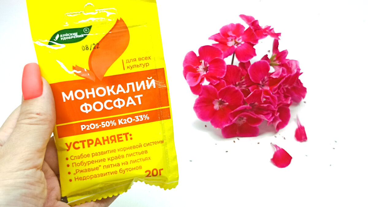 Сплошные бутоны и цветы на ПЕЛАРГОНИИ: 1 чайная ложка на 5 литров ...