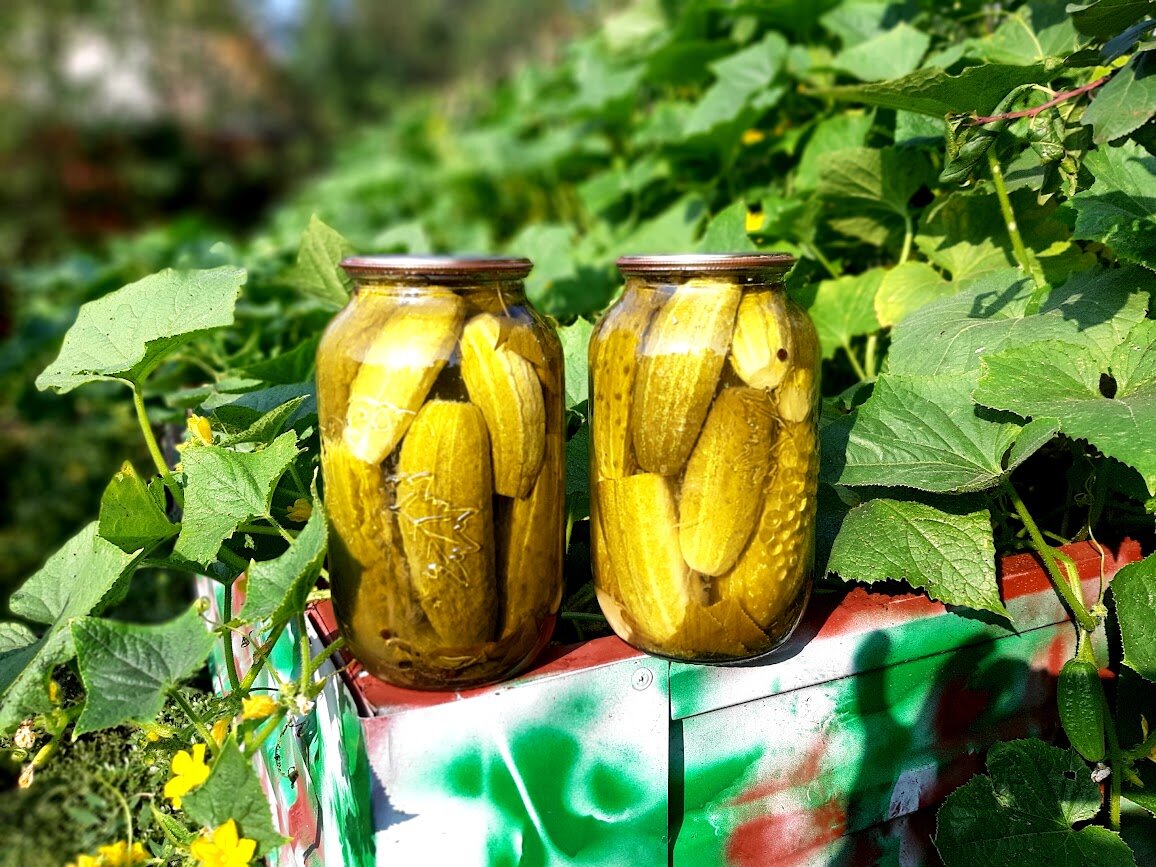 Фото из личного архива. 