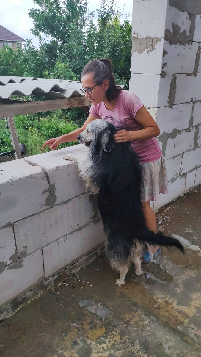 Сестра Оля и её собака Яся в проёме будущего окна