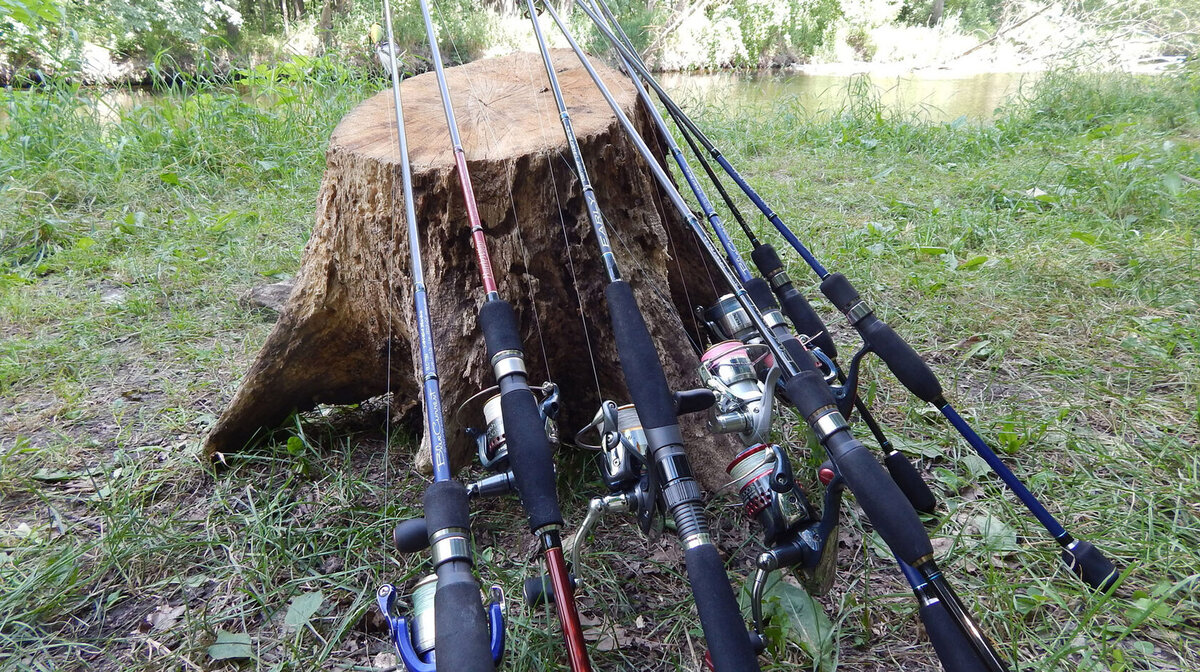 Различные удилища. 