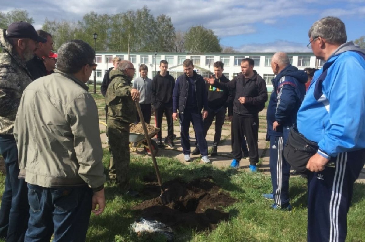    Кладбище не нужно.