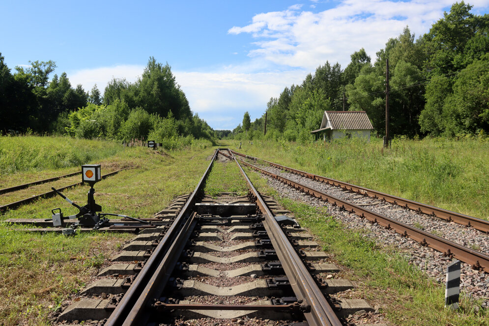 рп5 селижарово тверская область