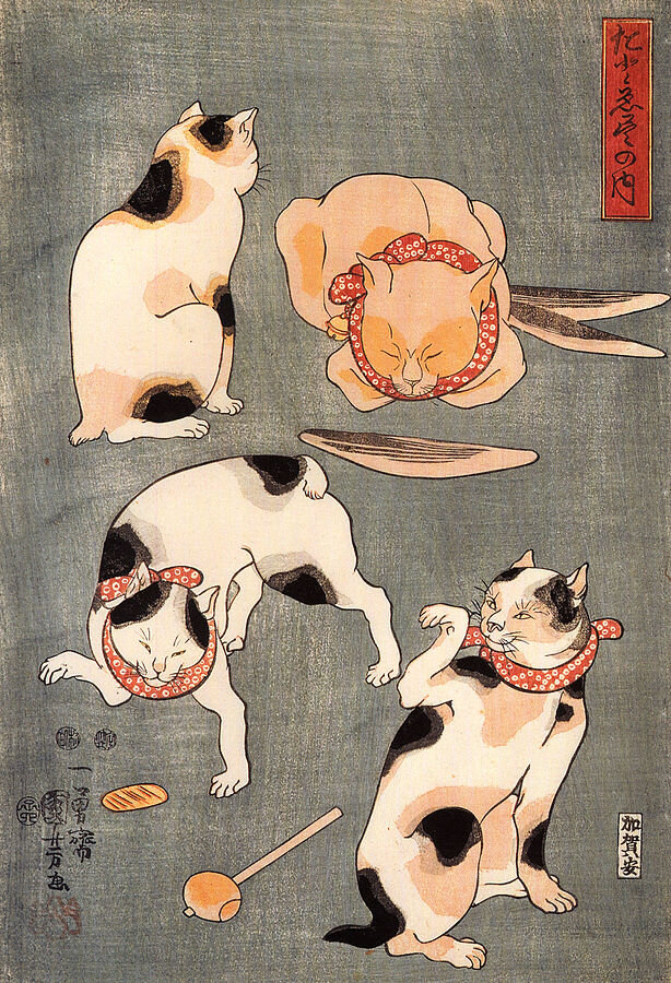 Kuniyoshi Utagawa, For cats in different poses