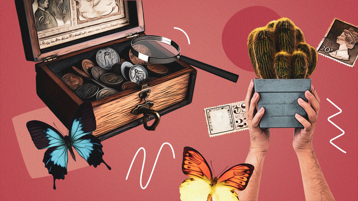 Фото: Валерия Ильина / ИА «Победа26»