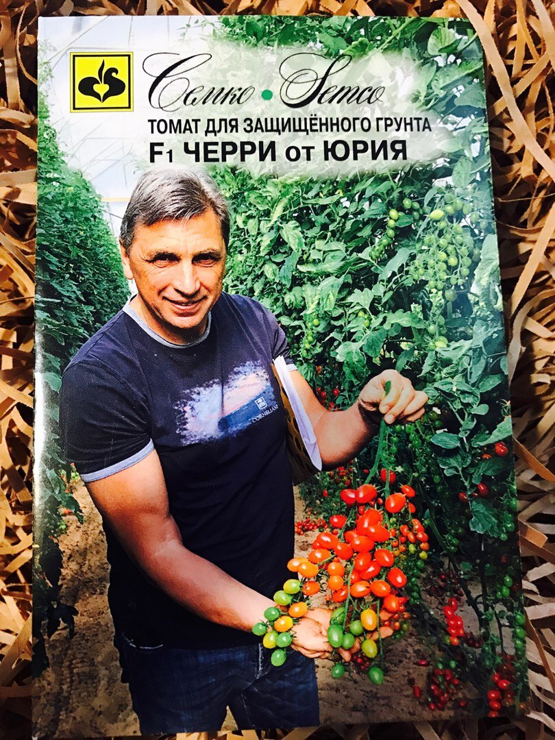 Черри от юрия отзывы фото Томаты Черри Дачный Угодник Виталий Декабрёв Дзен