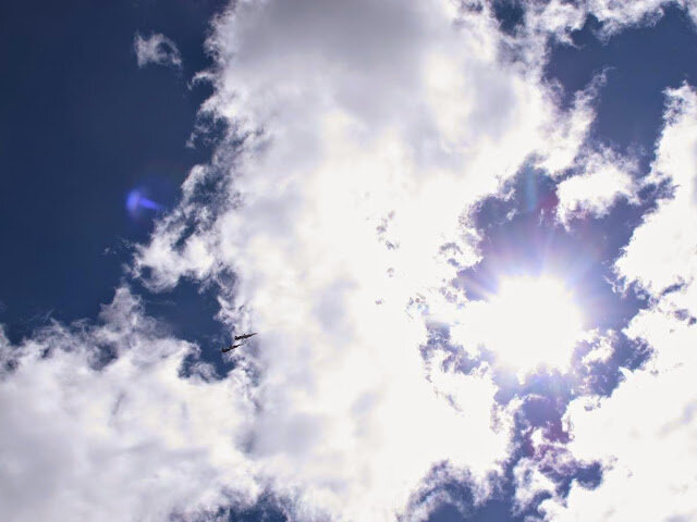  Встречь солнцу
