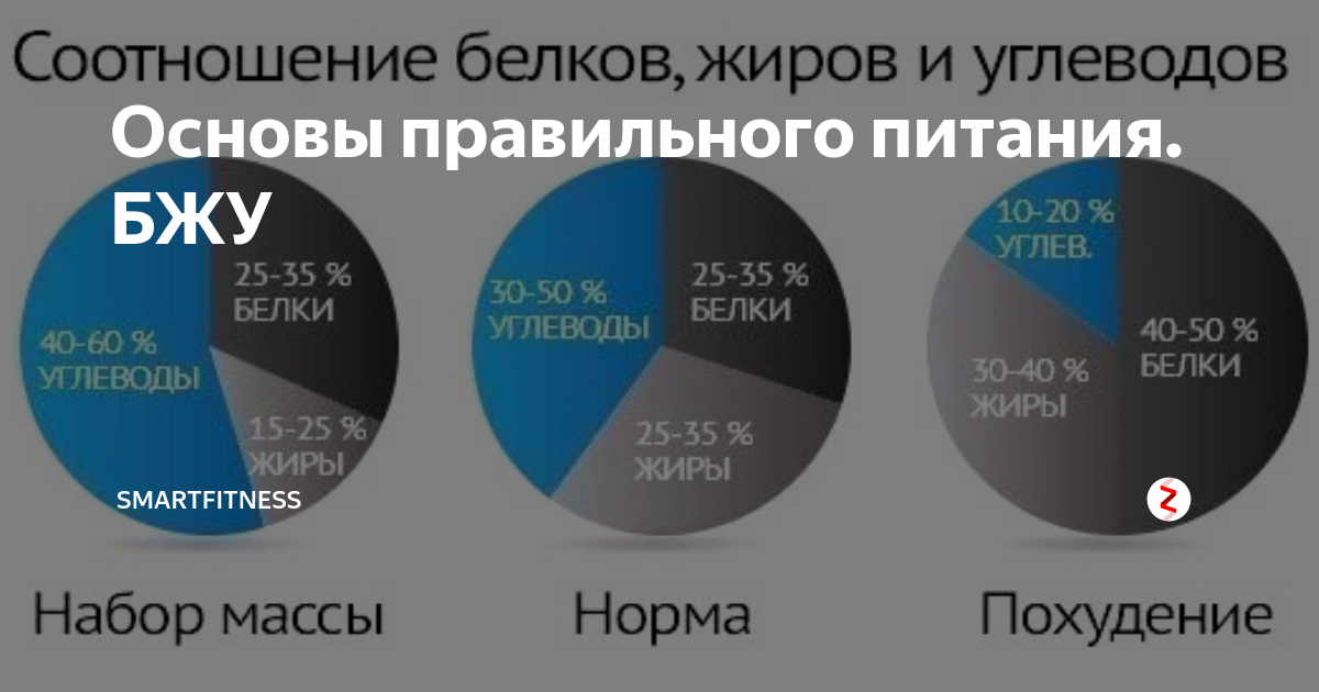 Соотношение белков углеводов