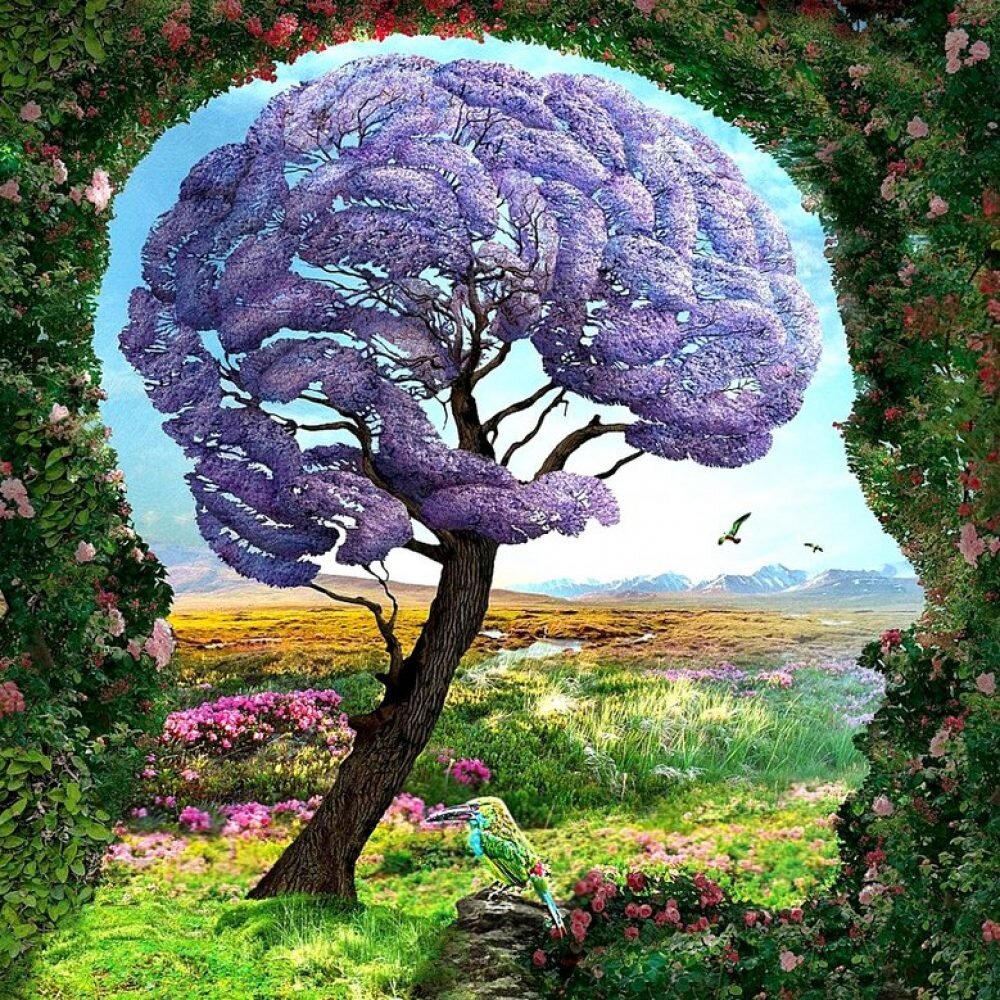 www.davidwolfe.com