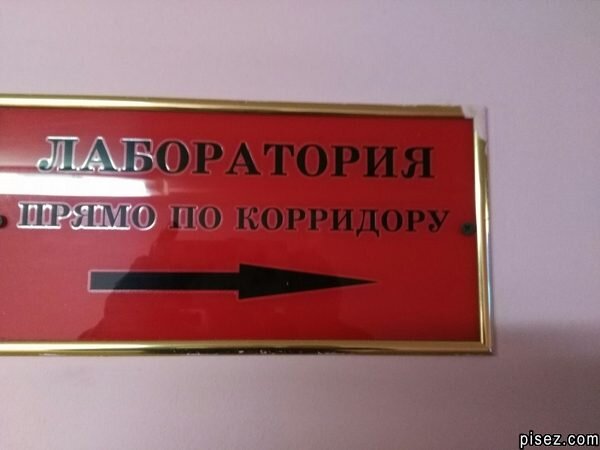 С каждым годом эта проблема всплывает всё чаще и чаще в нашей повседневной жизни. Не верите? А вы оглянитесь вокруг и сами её увидите.-6