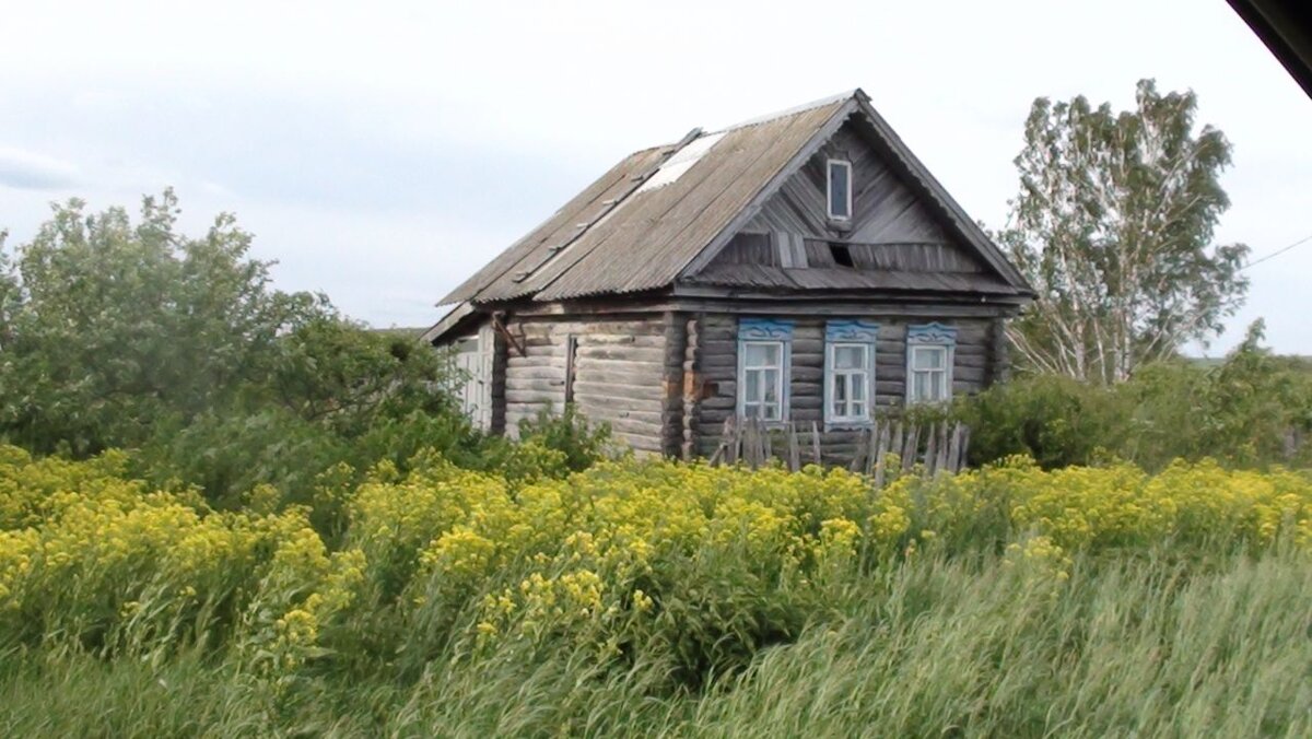 Поиск предков. Зов КРОВИ.. | У истока | Дзен