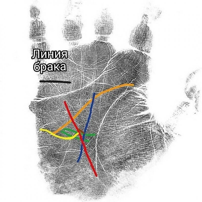 Линия жизни 39. Линия влияния к линии судьбы. Линия влияния на руке. Линия влияния к линии судьбы Финогеев. Линии вливаются в линию судьбы.