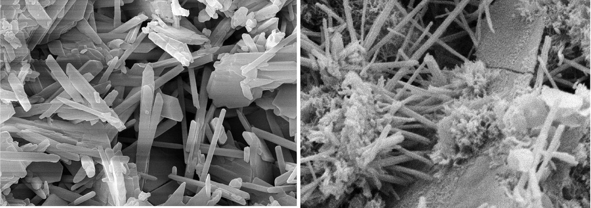 Фотографии из сервиса Яндекс.Картинки