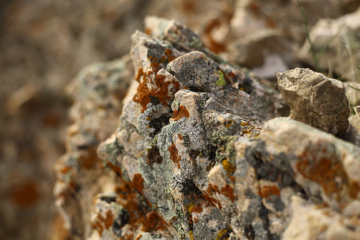 Снято на Малом Чимгане в Узбекистане