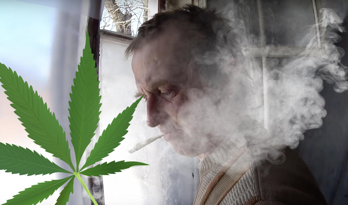 Муж постоянно курит марихуану фото конопляных семян