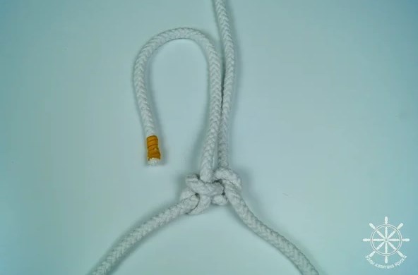 Как выглядит бегущий булинь?