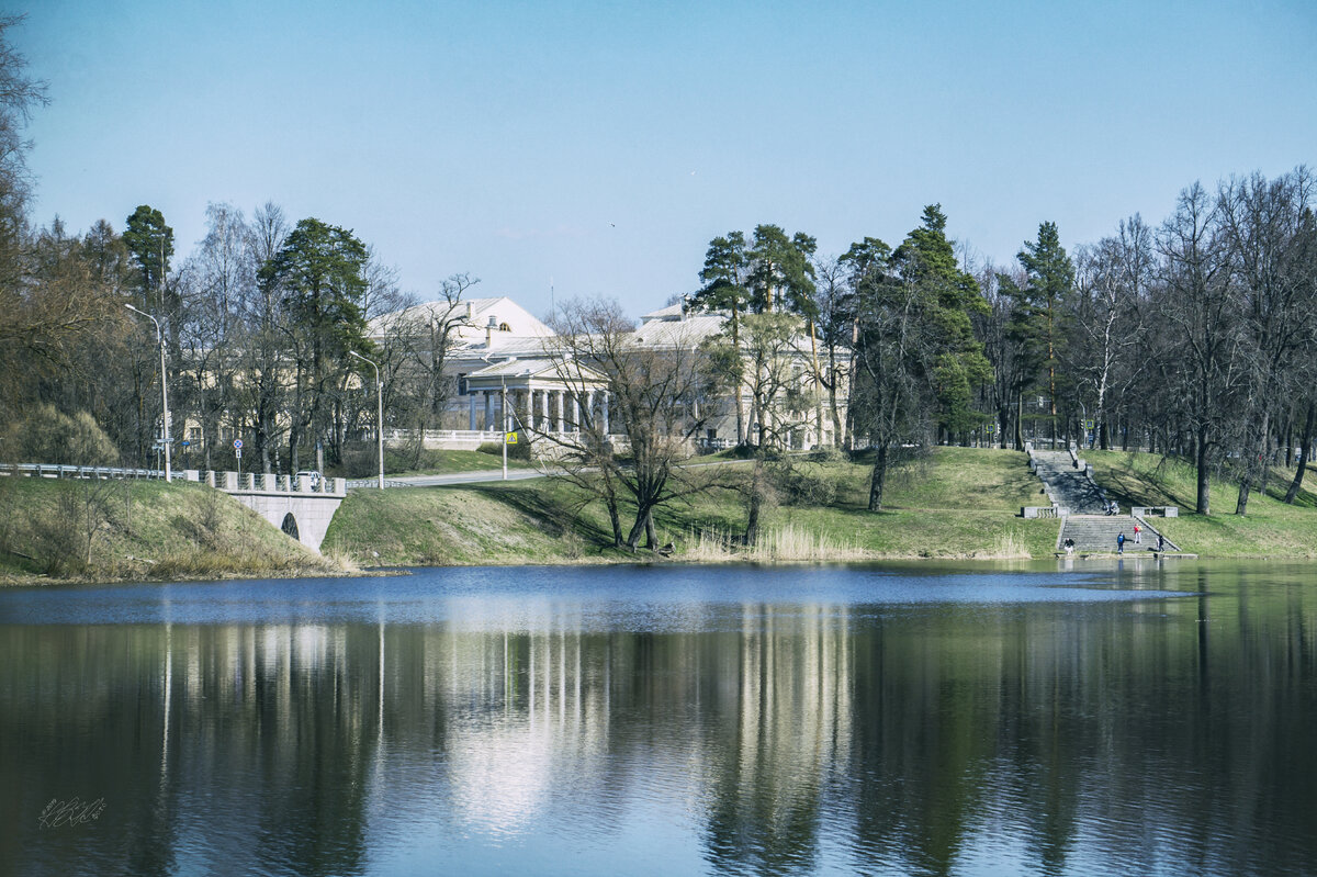 Фото на документы павловск спб