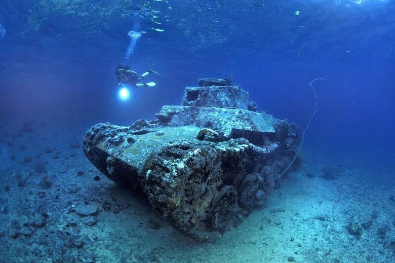 Фото взято из Яндекс.Картинки