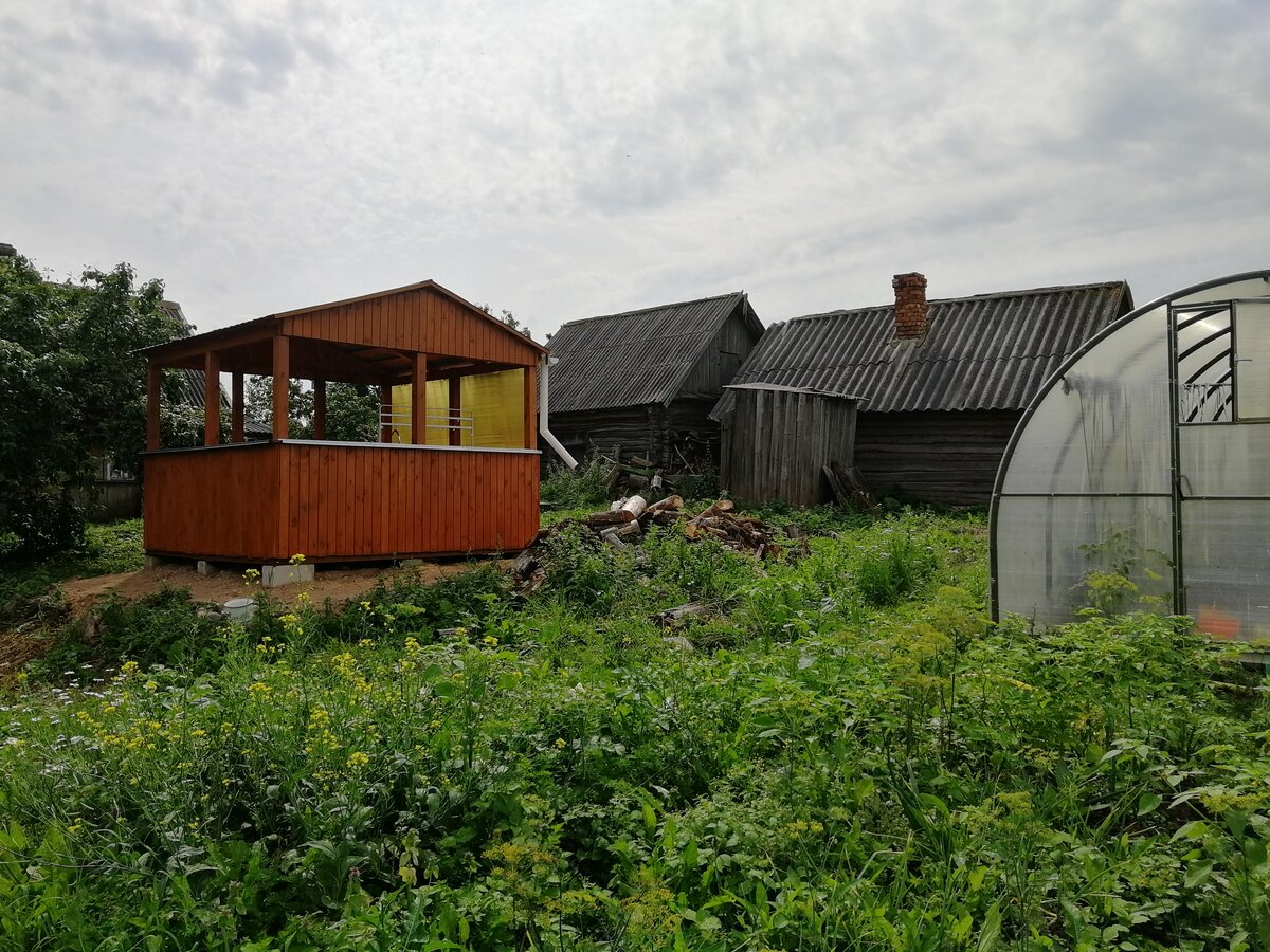 Вот такую траву и выше мне приходится косить