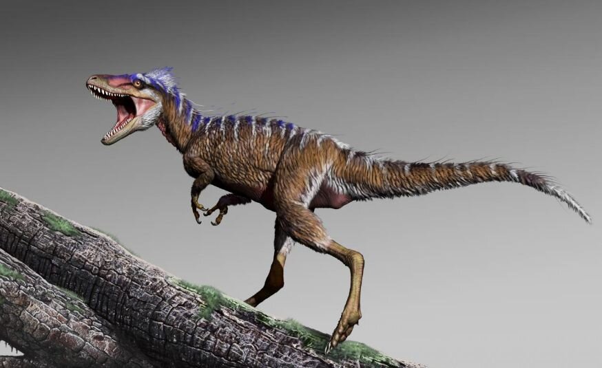 Карликовый тираннозавр