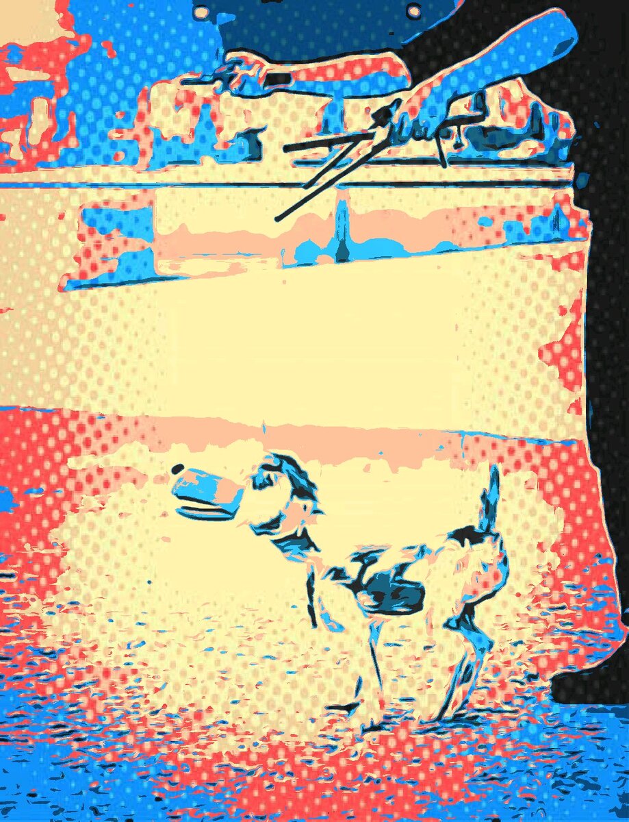 Photo by pixpoetry on Unsplash