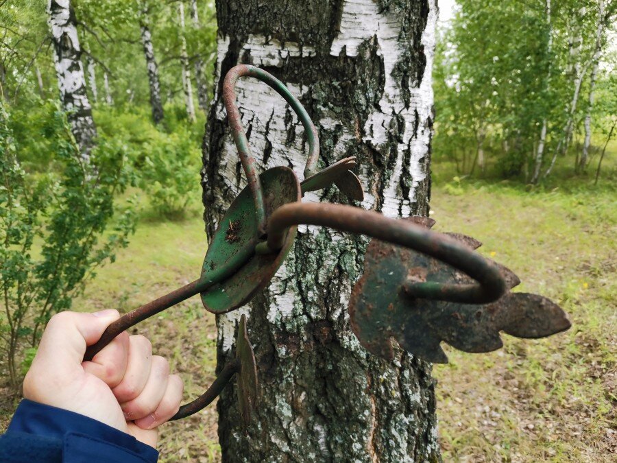 Ещё фото с разных ракурсов


