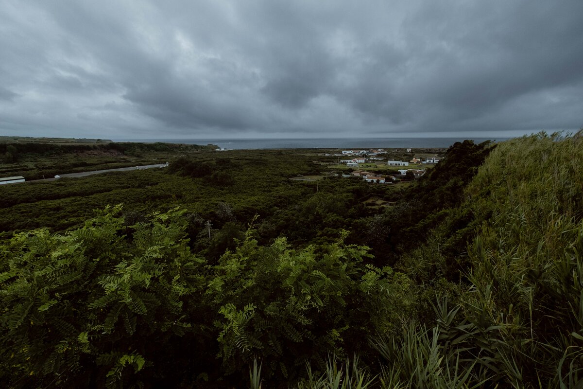 Остров Терсейра утопает в зелени