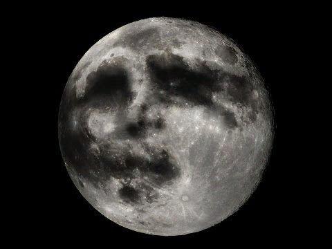 Иногда причудливо сложенные линии дают вполне чёткое изображение