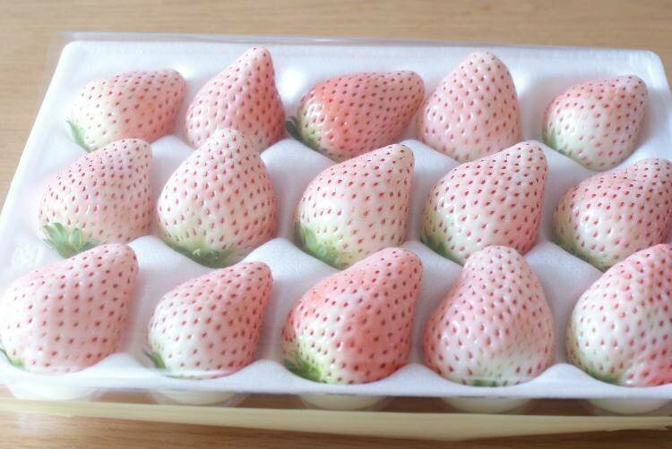 Белая клубника