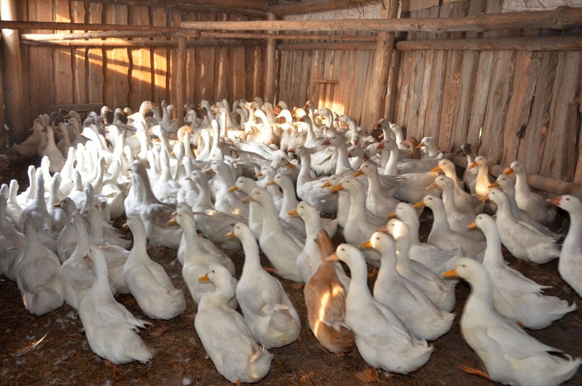 источник - яндекс картинки