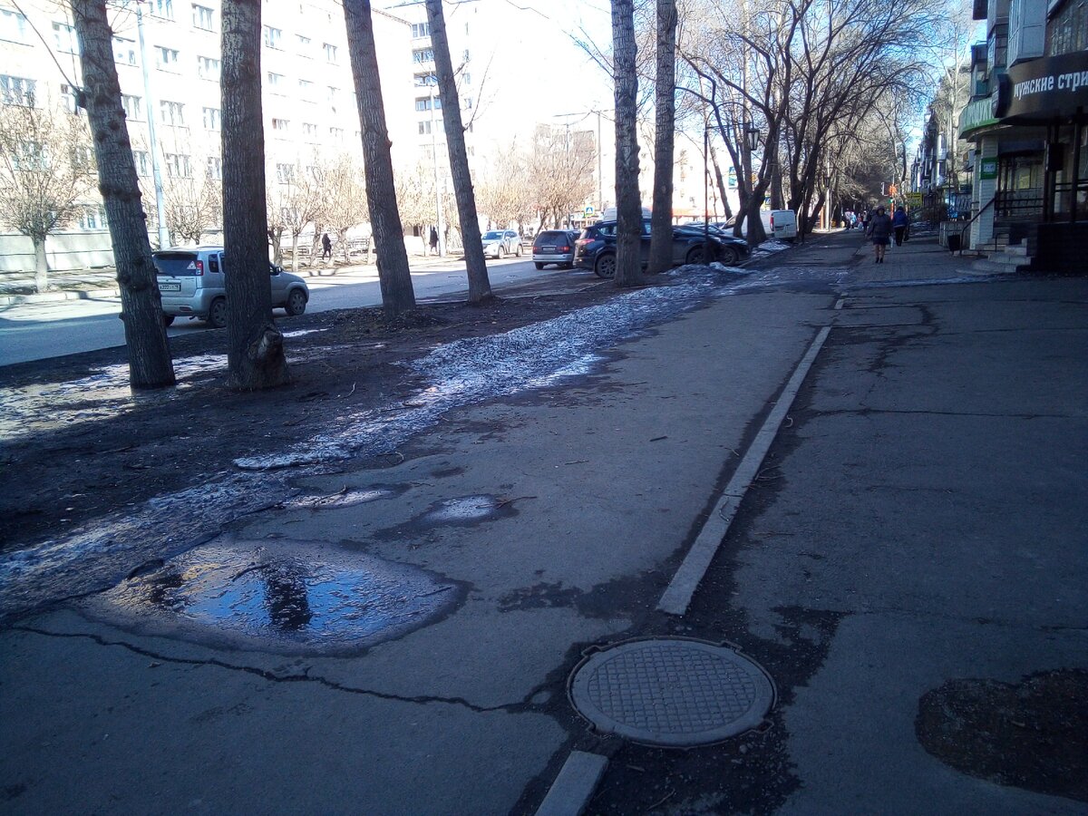 Все лысое, серое, лужи и грязь