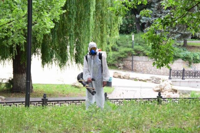 Фото: администрация Симферополя 
