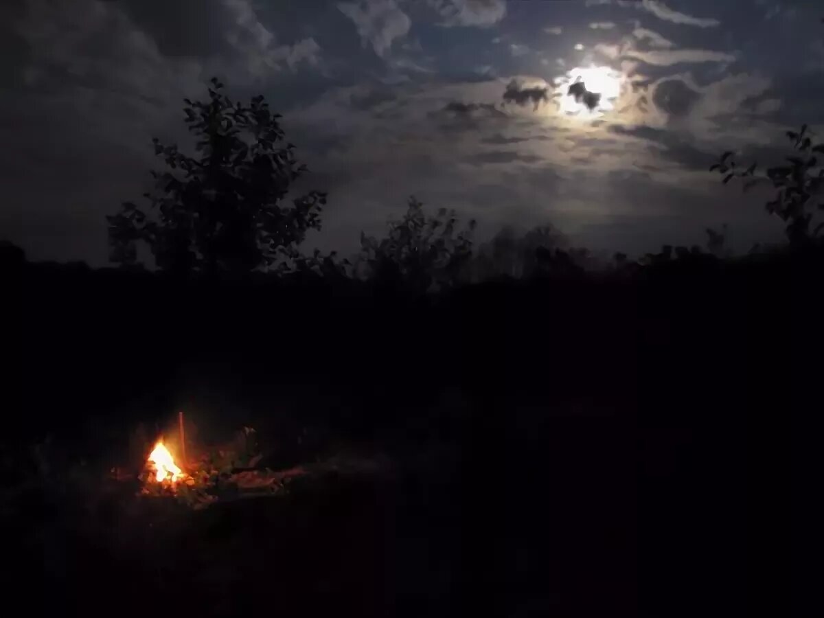 изображение из открытых источников