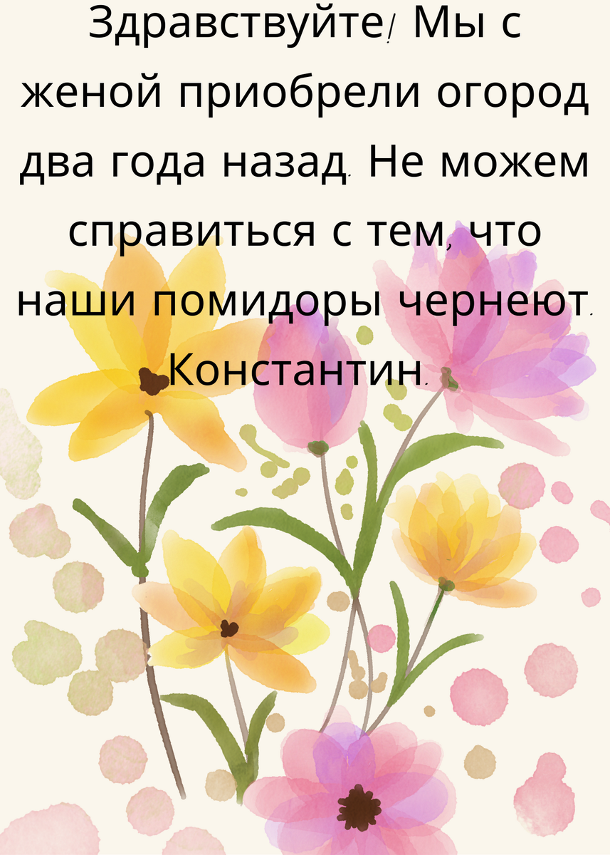 Фрагмент письма читателя