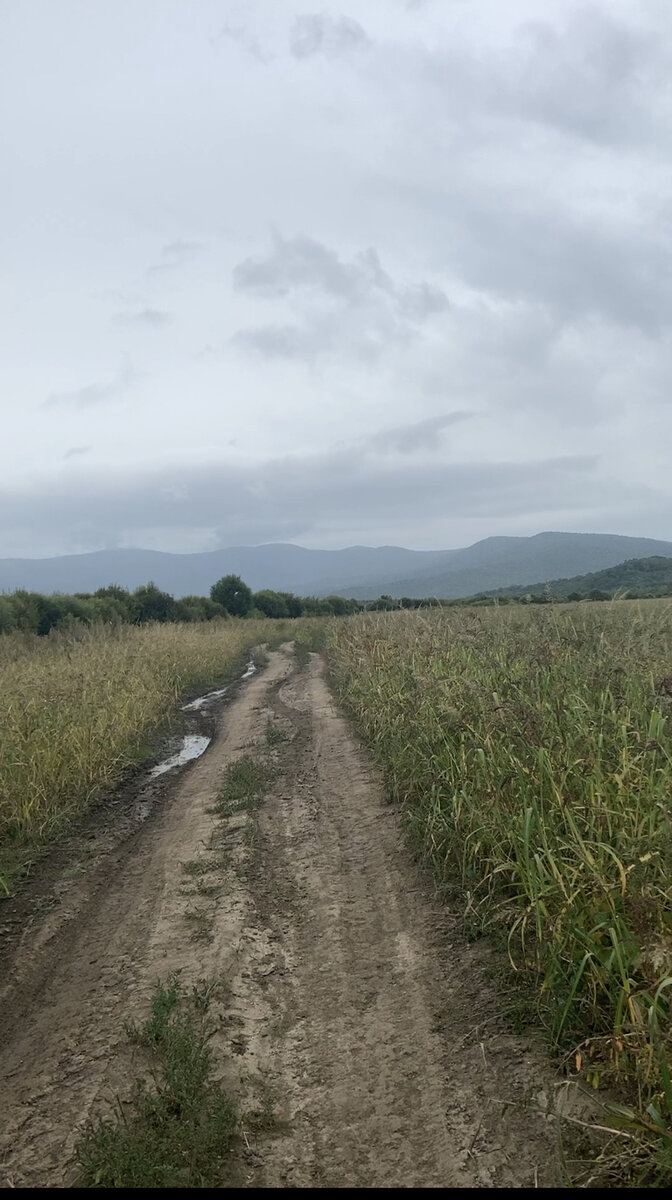 Под те ☝️Сопки 