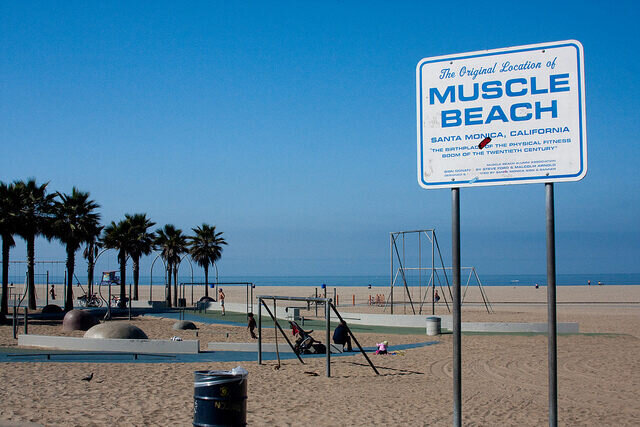 Ну вот кто из актёров там может показывать свои "мышыцы"? Есть идеи?